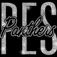 GLT95 SILVER GLITTER Thumbnail